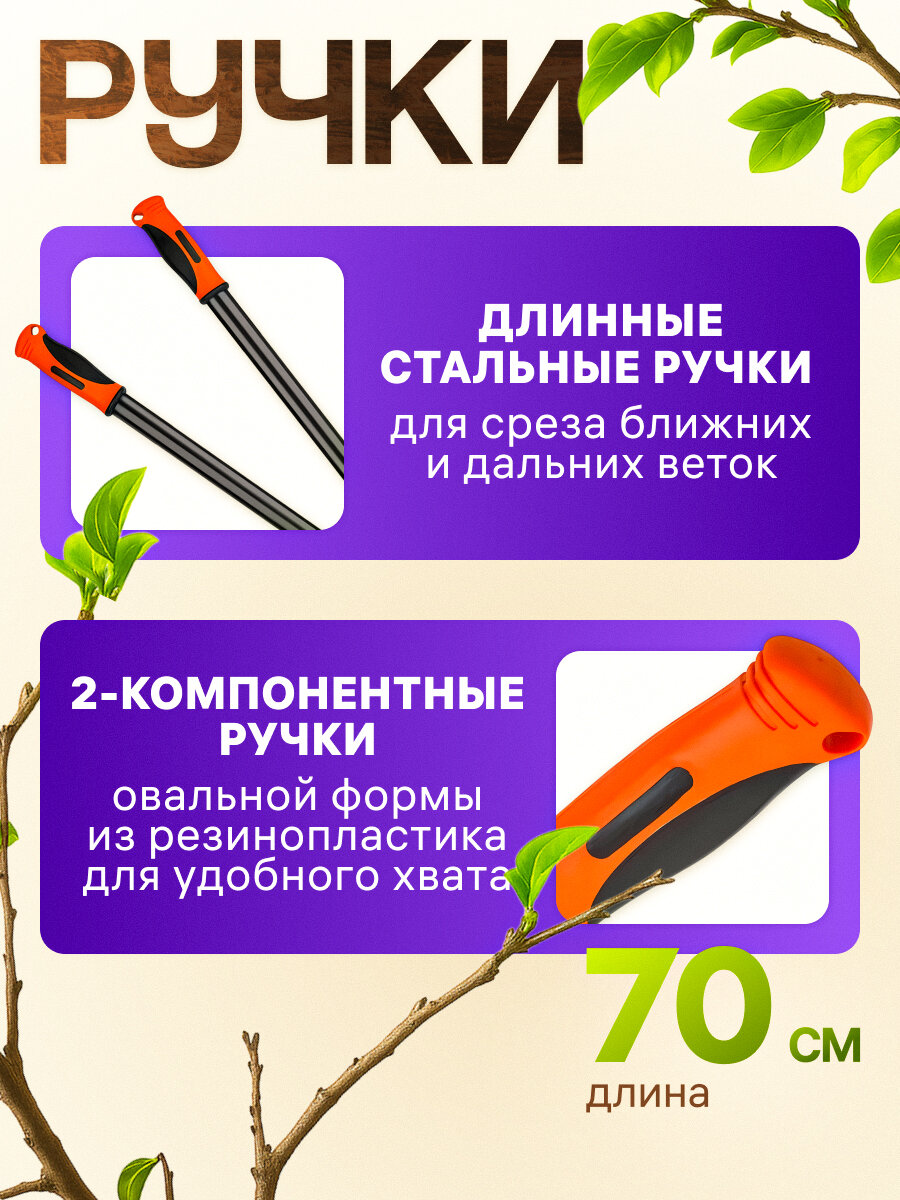 Сучкорез садовый плоскостной 70см STARTUL GARDEN (ST6096-03) секатор, кусторез, ножницы для веток, кустов — фото 1