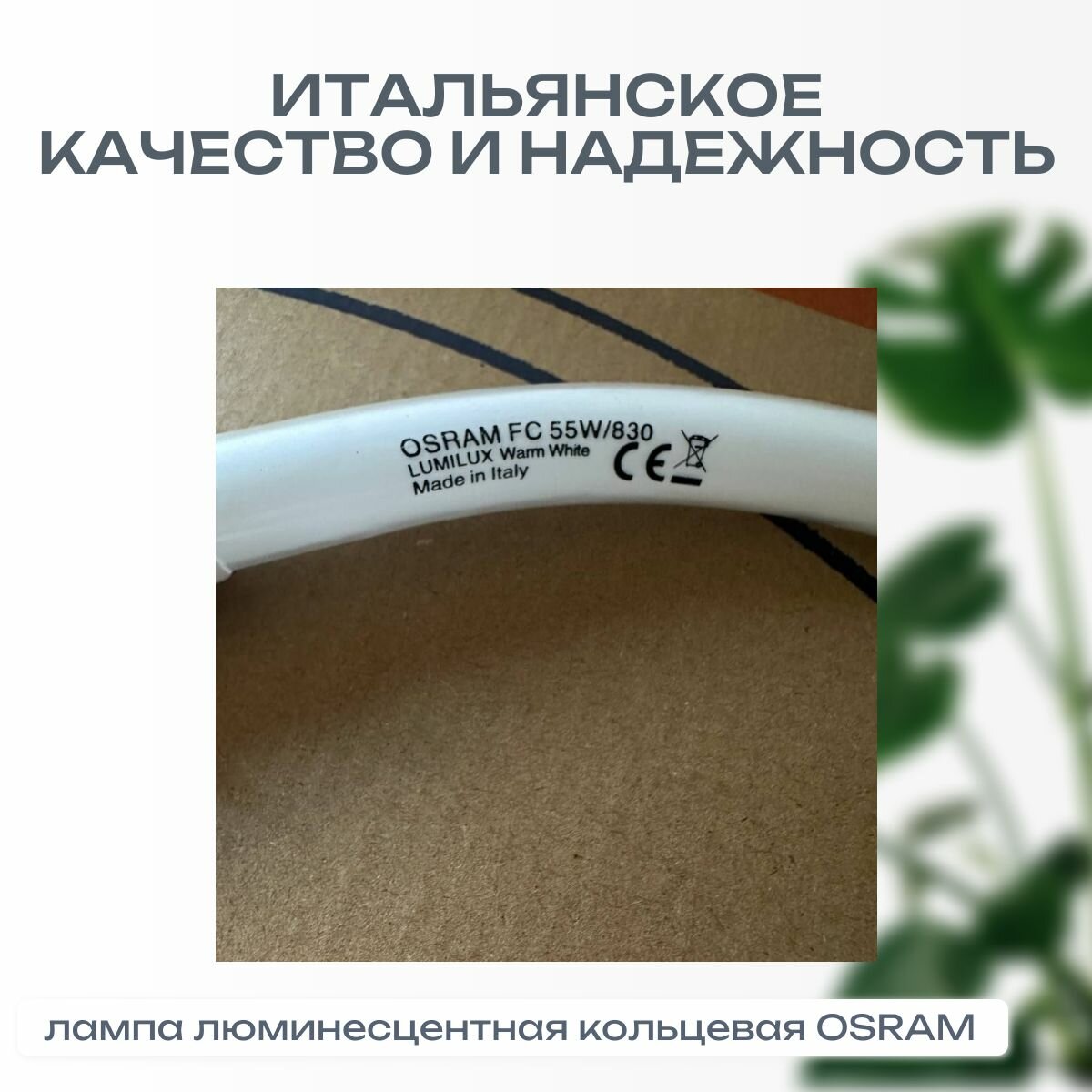 Картинки Кольцевая Лампа OSRAM FC 55 W/830 2GX13 LUMILUX люминесцентная D16 mm теплый белый