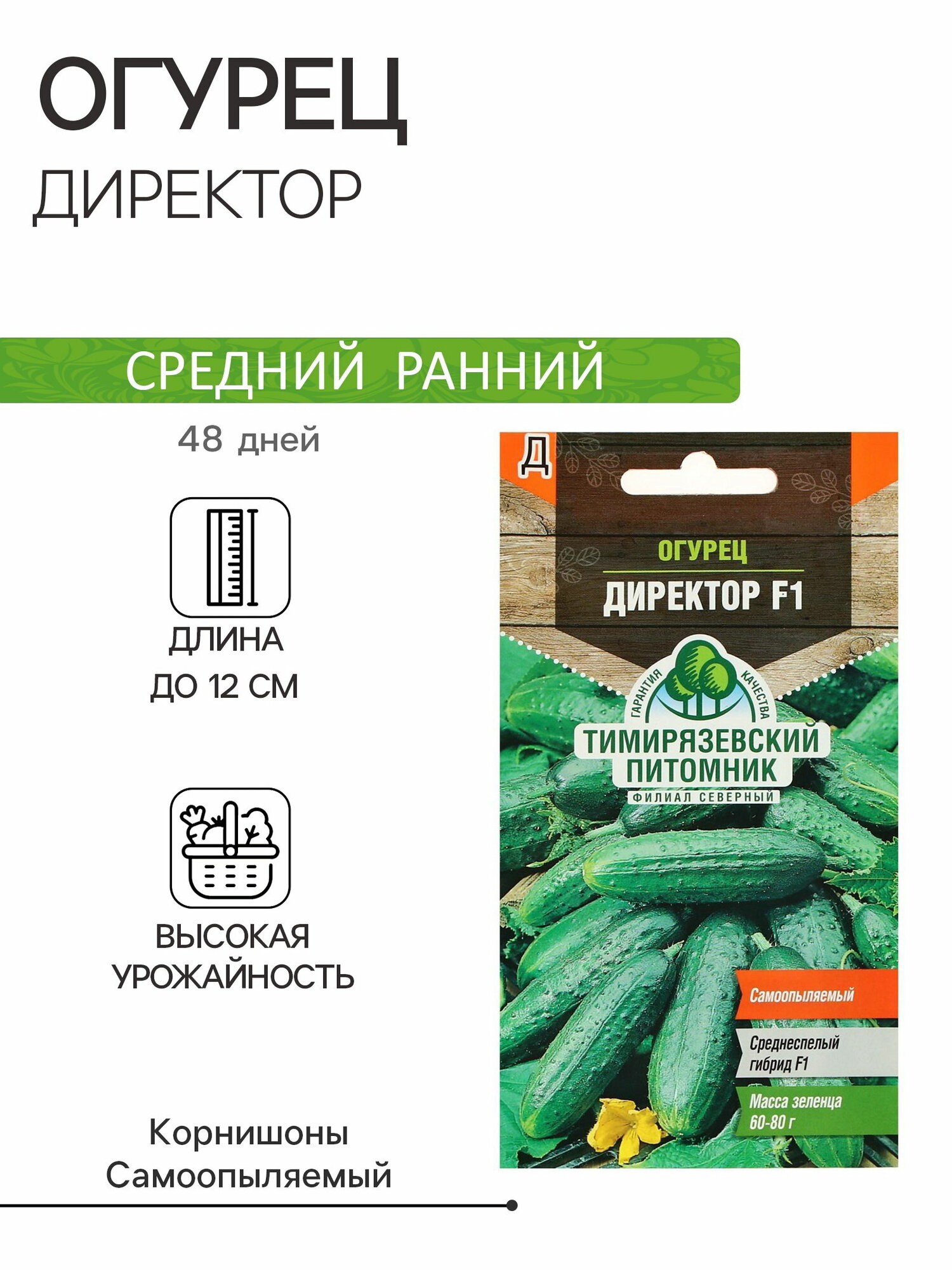 Семена огурца  Директор   F1  4 шт  сроки созревания  ранний   до 48 дней 