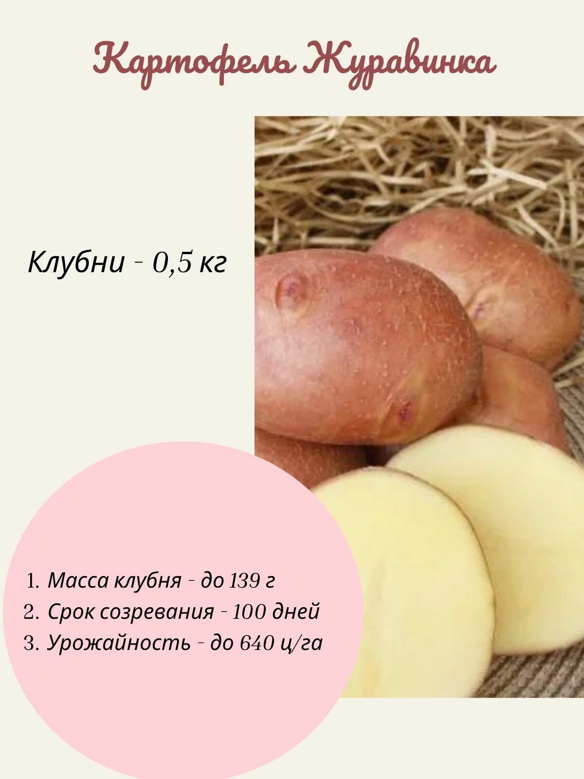 Картофель красный Журавинка 05 кг на посадку