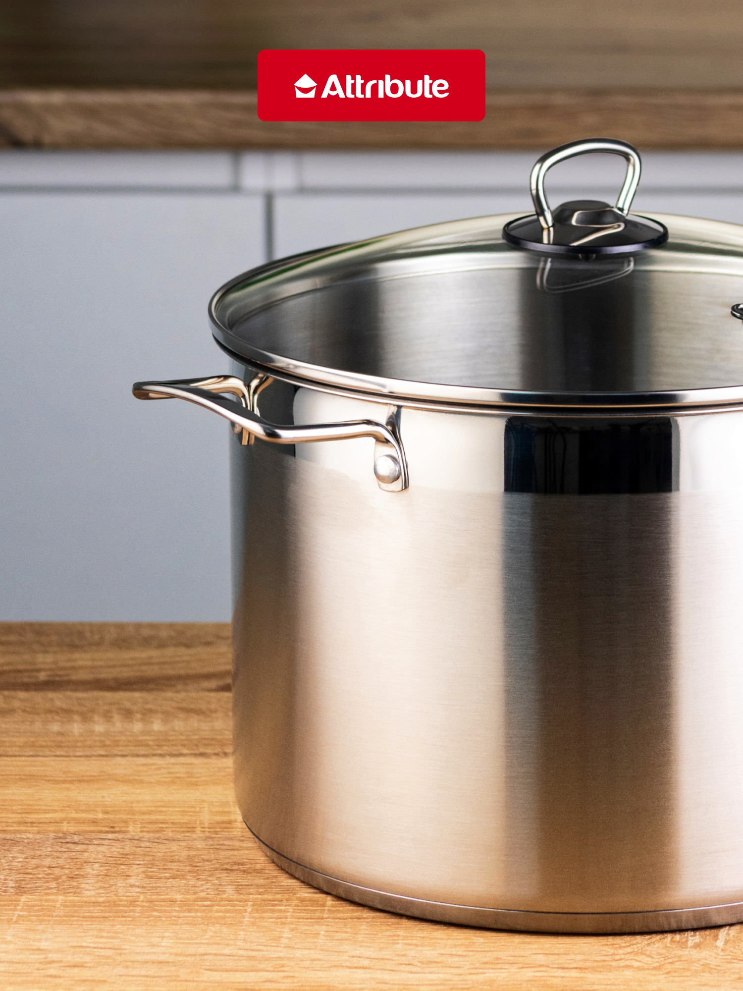 Кастрюля со стеклянной крышкой MASTER CHEF 12.0л 28х20см — фото 1