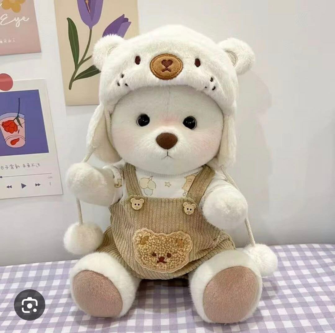 Плюшевый мишка в одежде-отличный подарок для дорогого человека!