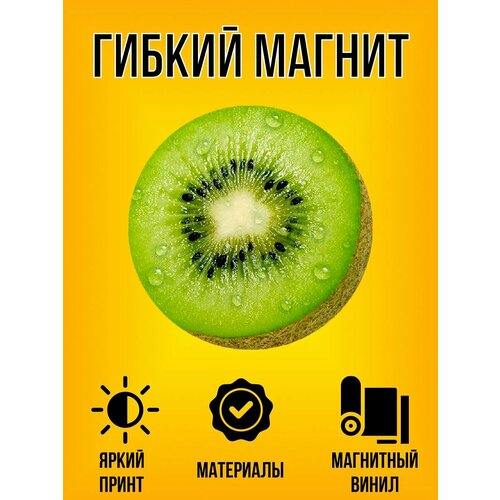 фото Магнит гибкий круглый с принтом киви screentech