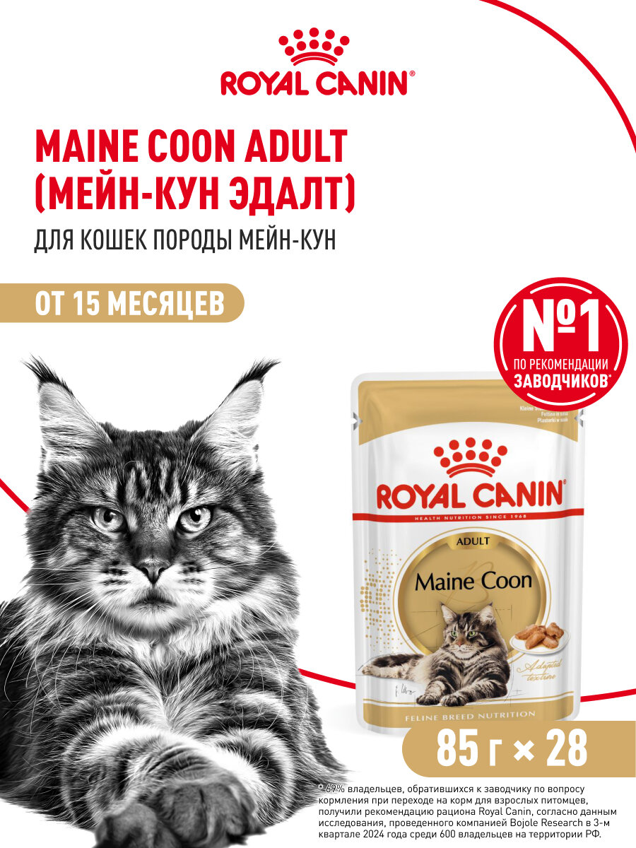 Влажный корм для кошек Royal Canin Adult для породы мейн кун кусочки в соусе, 28 шт по 85 г — фото 1