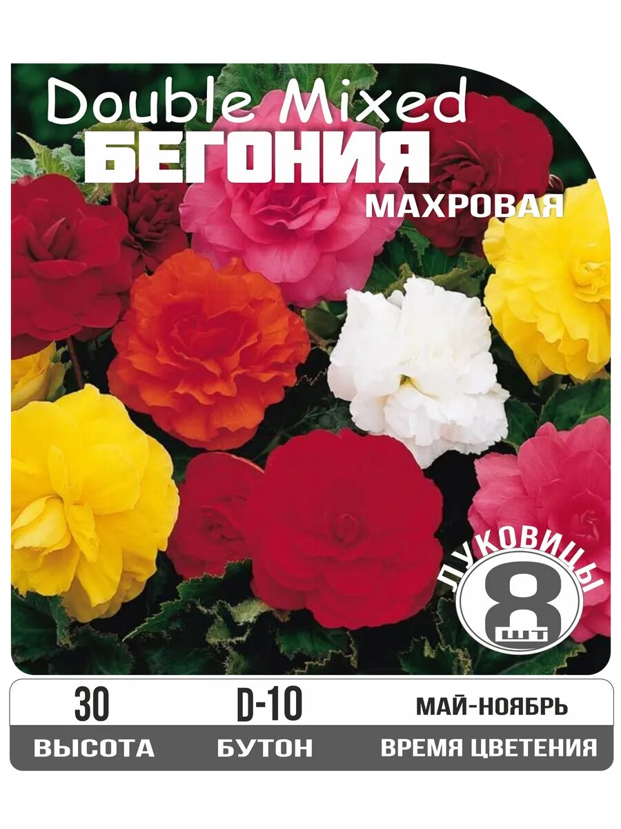 Бегония махровая Ассорти луковица 8шт.