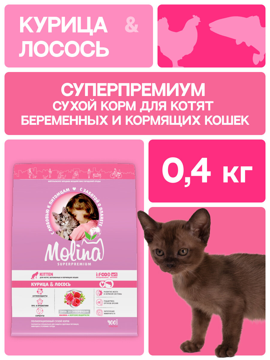Сухой корм для котят с курицей и лососем CAT KITTEN CHICKEN WITH SALMON, 0,4 кг MOLINA