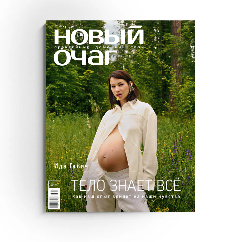 Журнал Новый очаг №2/2025