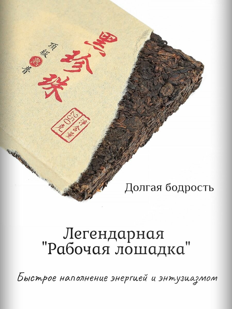 Шу Пуэр с чайными головами Ча Тоу / Черный жемчуг 2024 Синь Вэнь / 250 г — фото 1