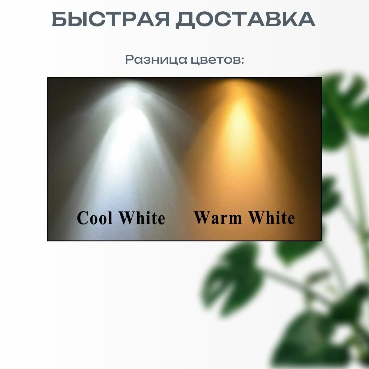 Изображение Кольцевая Лампа OSRAM FC 55 W/830 2GX13 LUMILUX люминесцентная D16 mm теплый белый