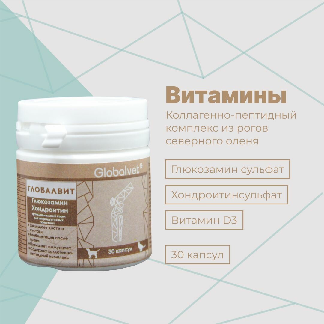 GlobalVit Глюкозамин Хондроитин комплекс для защиты суставов собак и кошек 30 капсул