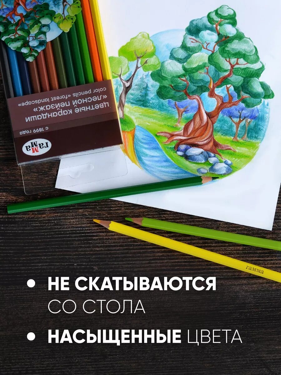 Цветные карандаши "Лесной пейзаж" Гамма, 12 штук, шестигранные, заточенные, разноцветные — фото 1