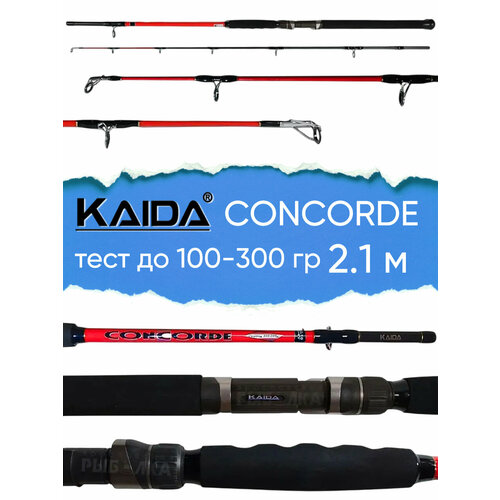 Спиннинг Kaida Concorde, тест 100-300гр, 2.1м для троллинга