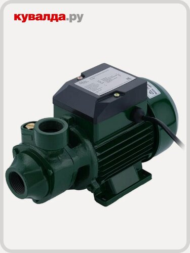 Изображение товара Насос поверхностный OASIS P(S)-370V