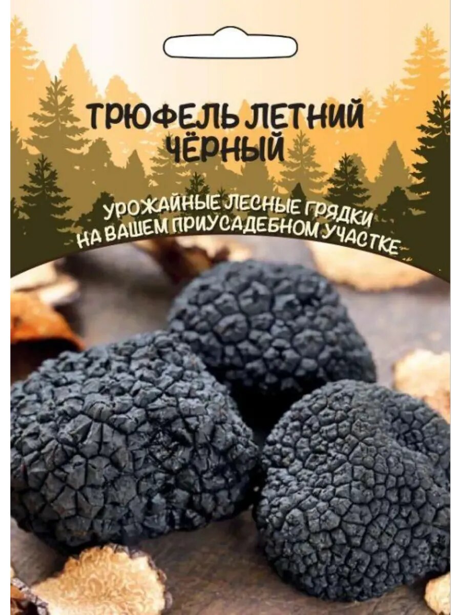 Грибы Трюфель Летний черный 30мл зерновой мицелий