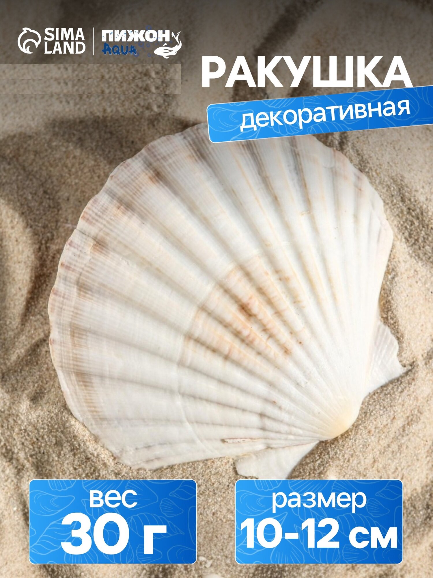 Декоративная ракушка Пижон Aqua 