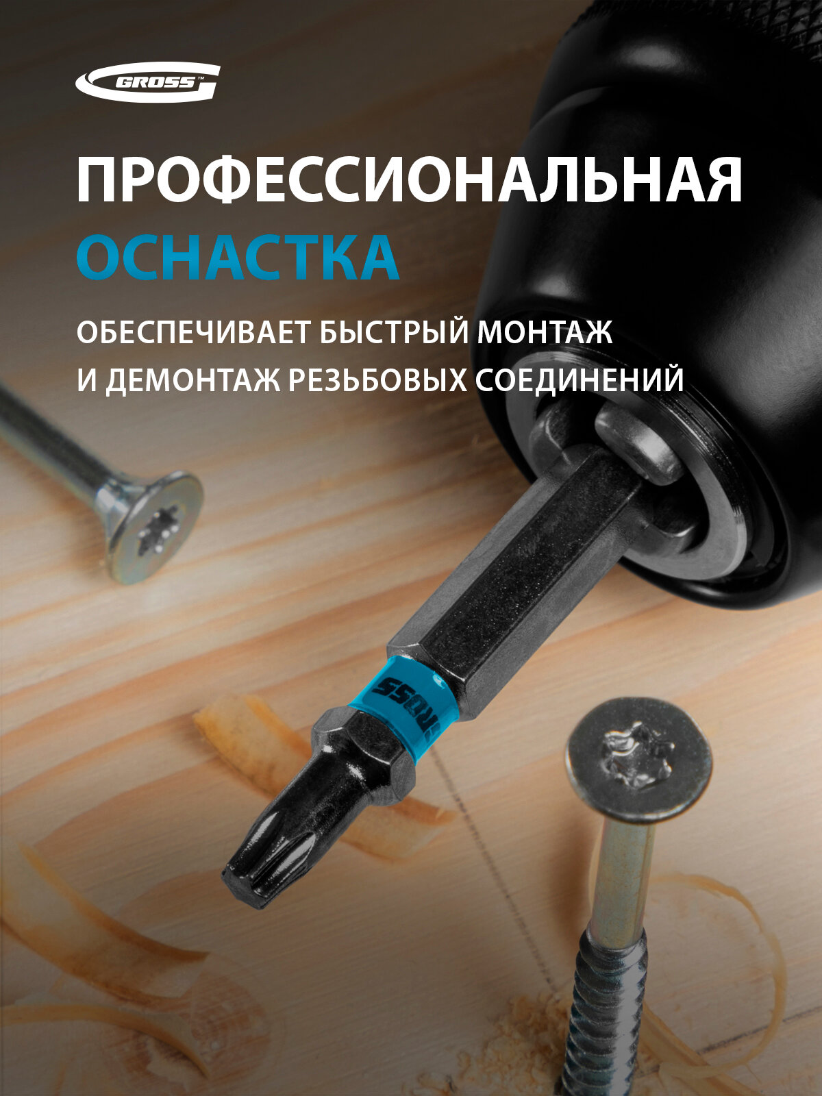 Набор бит Gross TORX 20х50 из японской легированной стали S2 твердостью 54-58 HRC, 10 шт 11470 — фото 1