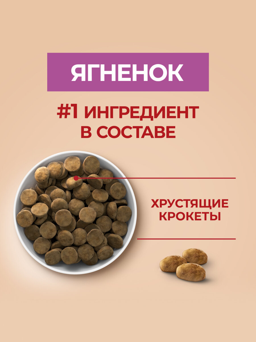 Сухой корм Purina One корм для взрослых собак средних и крупных пород Ягненок и рис, 3,8 кг. — фото 1