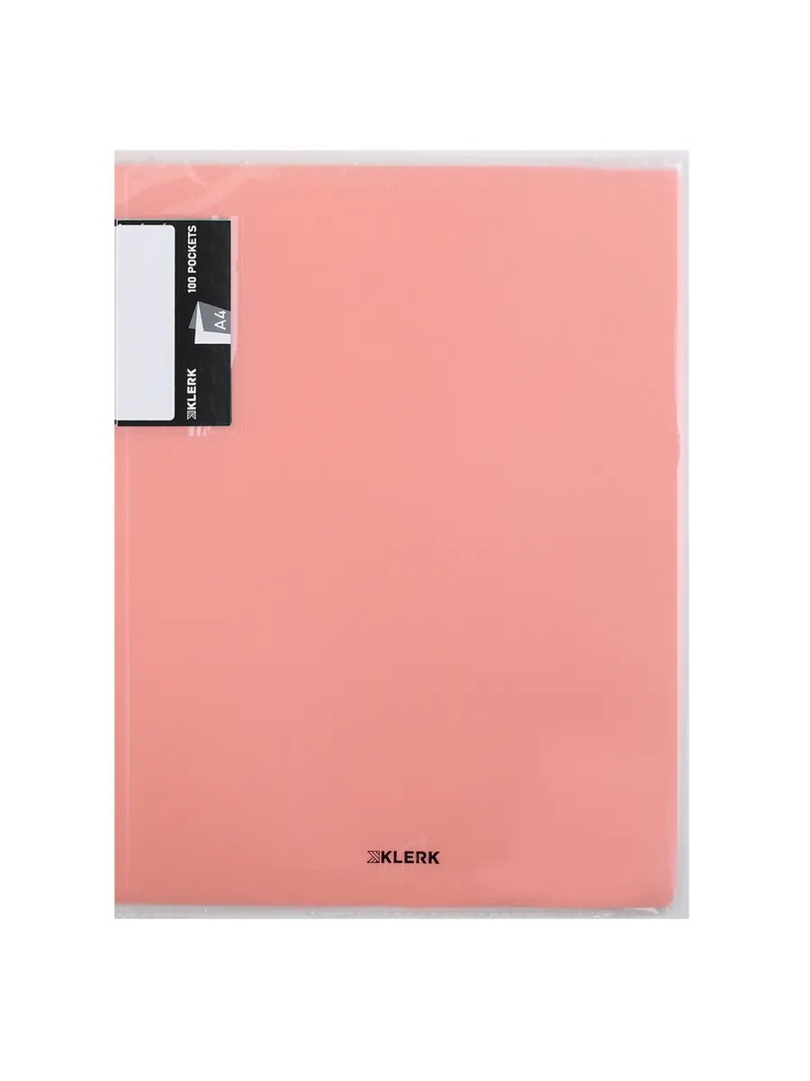 Папка с файлами А4 100л — фото 1