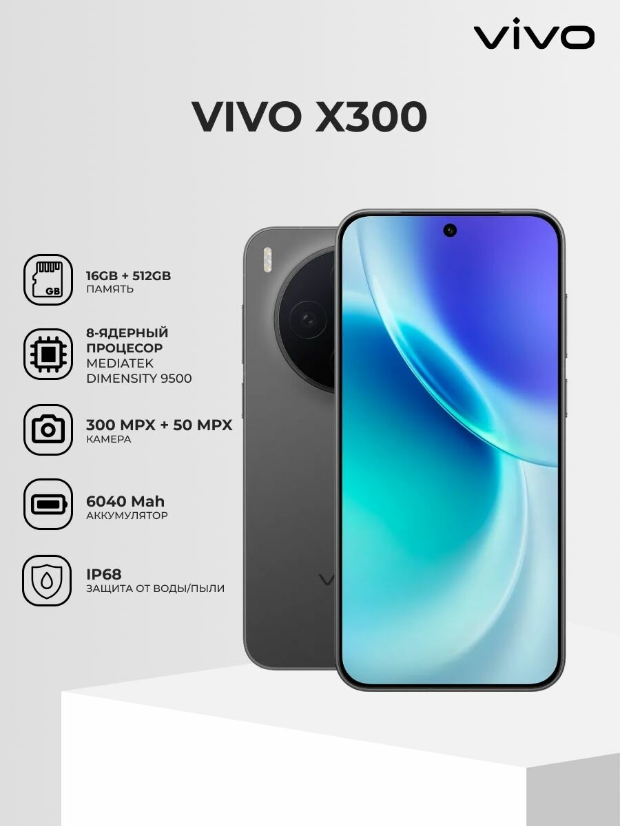 Смартфон Vivo X300 16/512GB Black