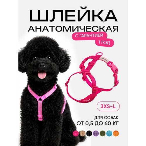 фото Шлейка для кошек и собак мелких пород анатомическая размер xxs, светоотражающая, розовая procomfort