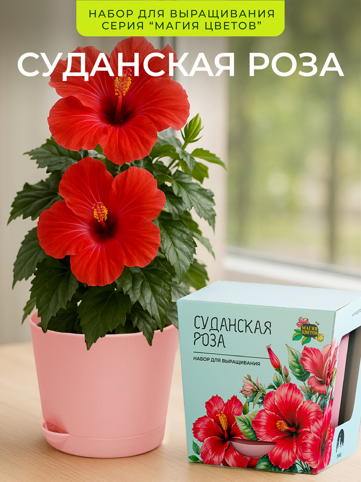 Суданская роза Набор для выращивания от бренда 
