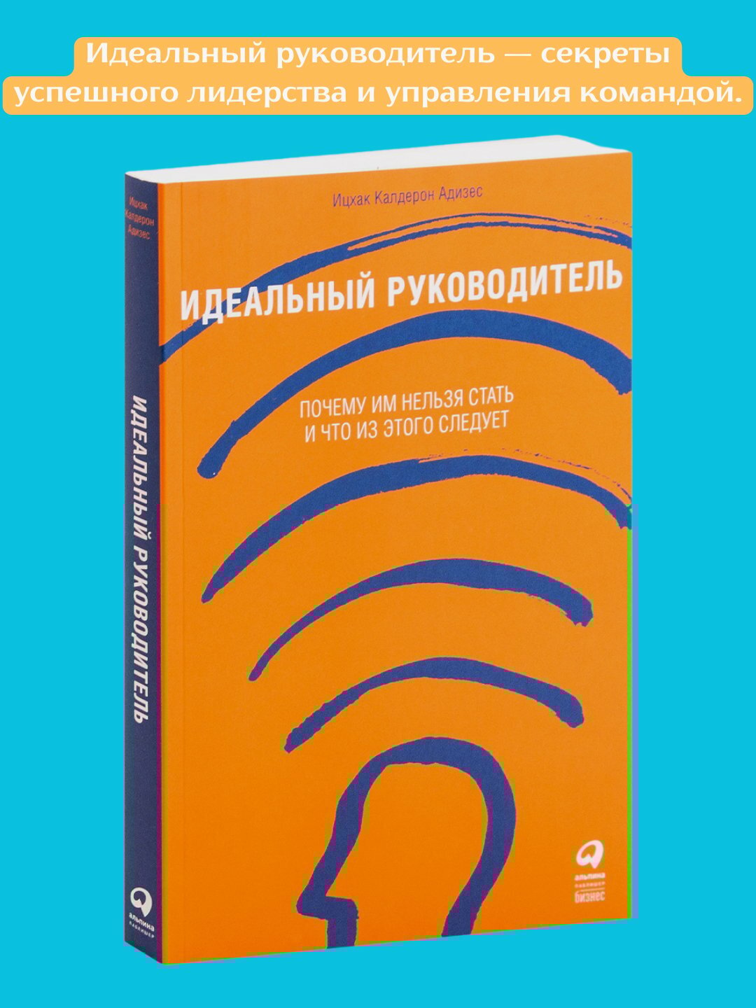 Идеальный руководитель, Ицхак Адизес