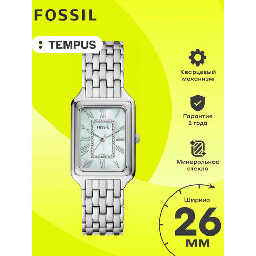 Fossil 4295638232