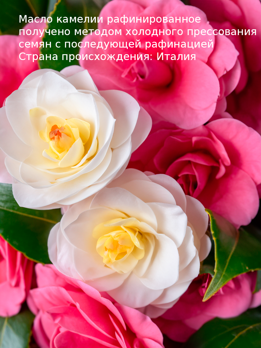 Масло камелии 15 мл WIPLUS — фото 1