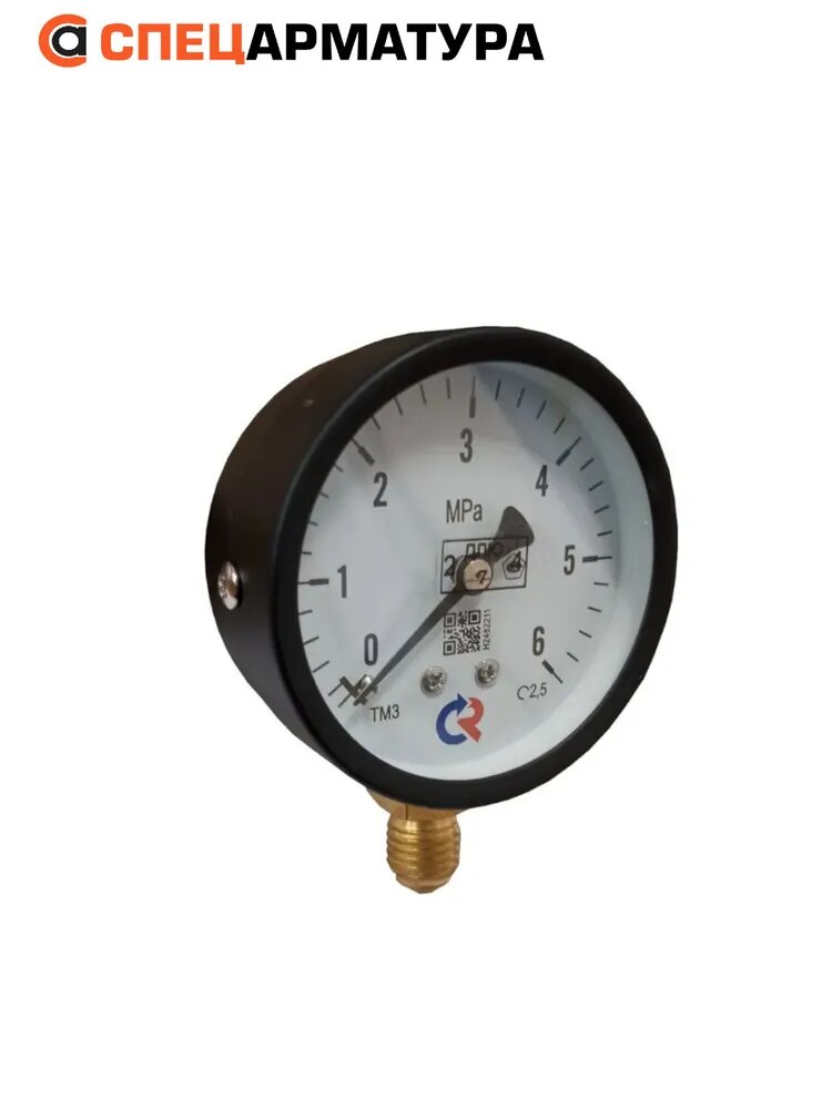 Манометр показывающий технический ТМ-310Р.00(0-6MPa)M12x1,5.2,5