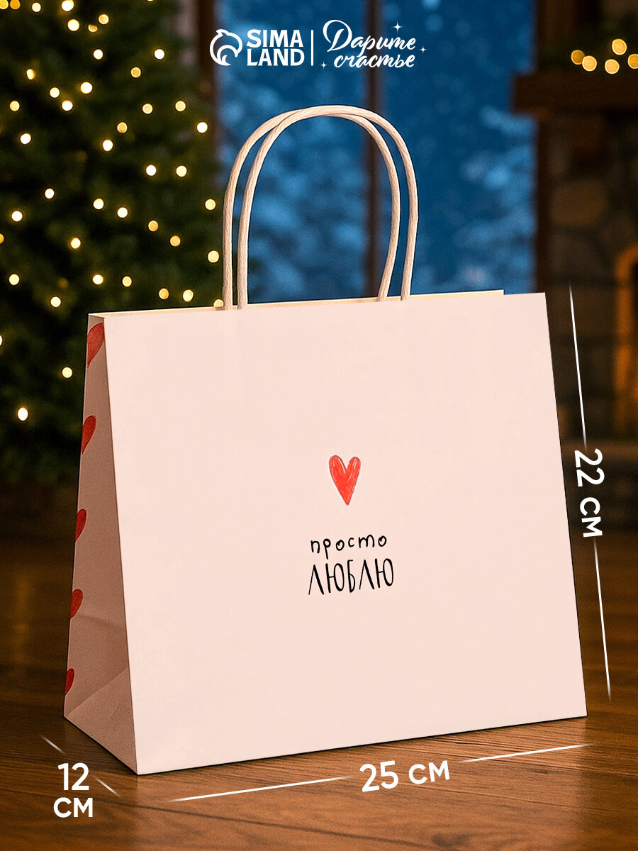 Пакет подарочный 