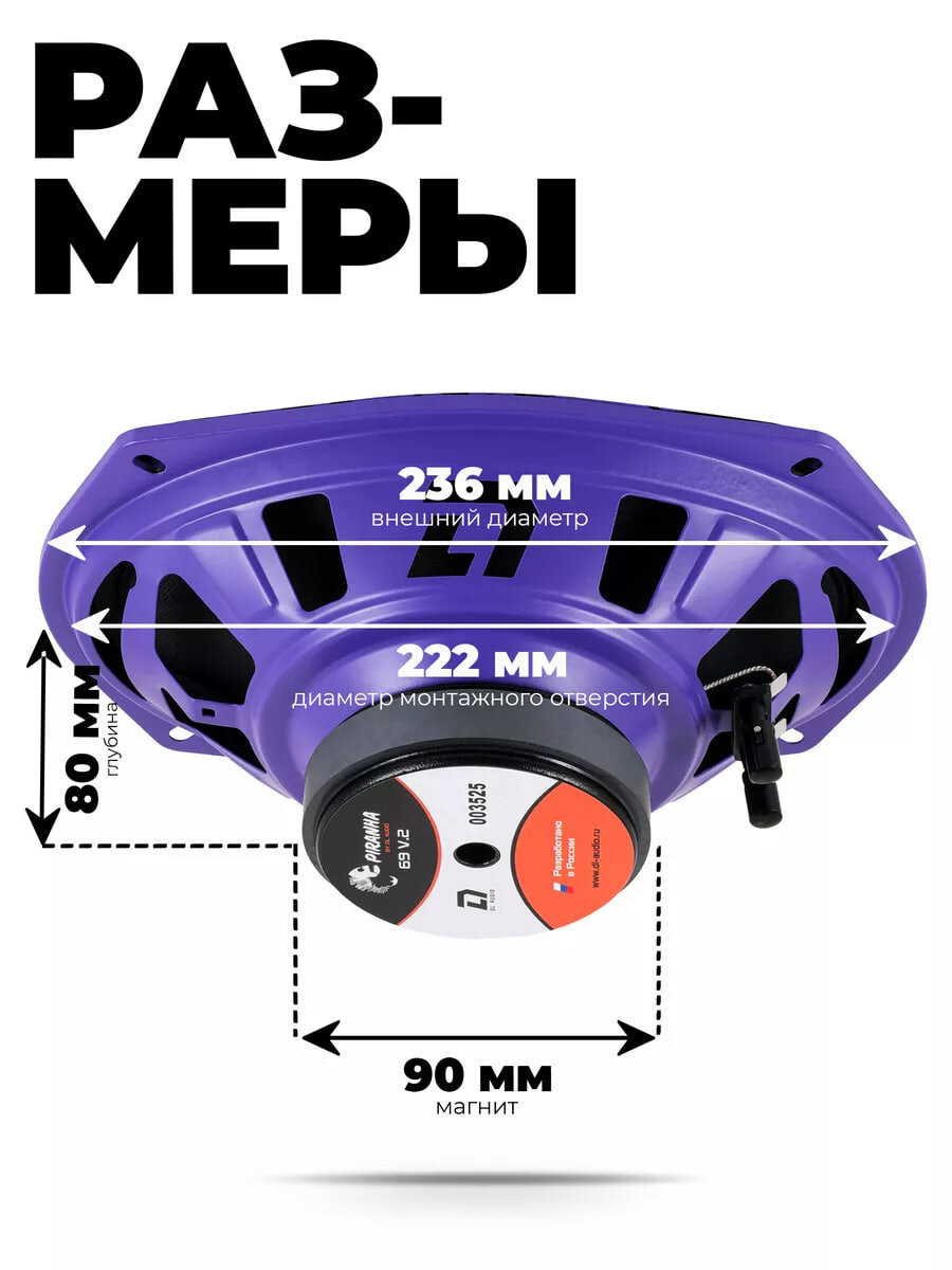 Динамики эстрадные DL Audio Piranha 69 V.2, овальные, 15х23 см, 2 шт — фото 1