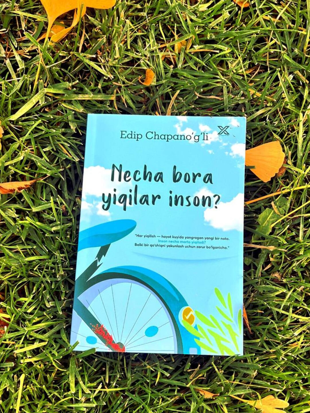 Книга Эдиб Чапаноглу "Сколько раз человек может упасть?", голубой переплет — фото 1