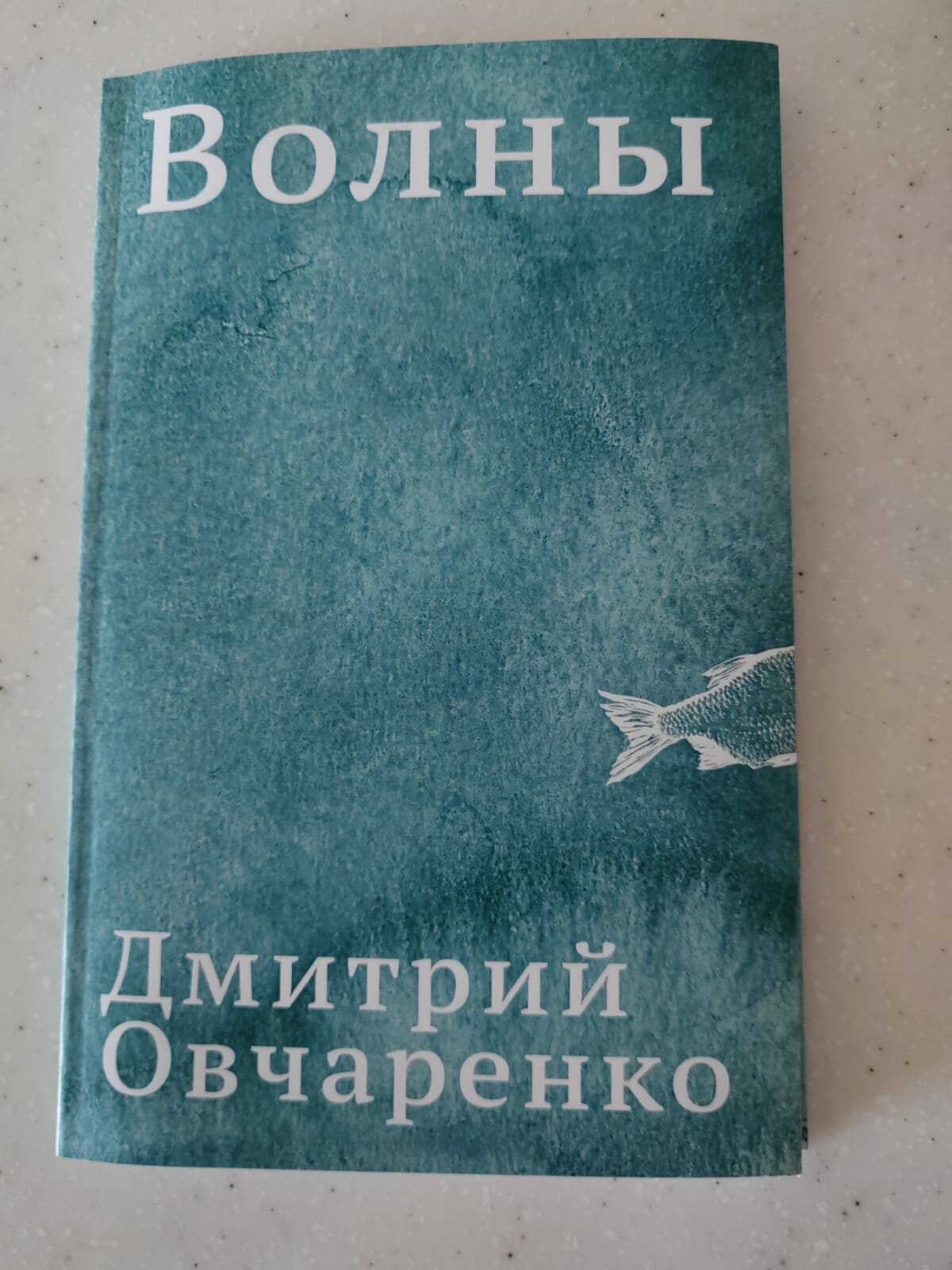 Книга стихов "Волны" Дмитрия Овчаренко, с автографом, 2025 г, современная поэзия, твердый переплет — фото 1