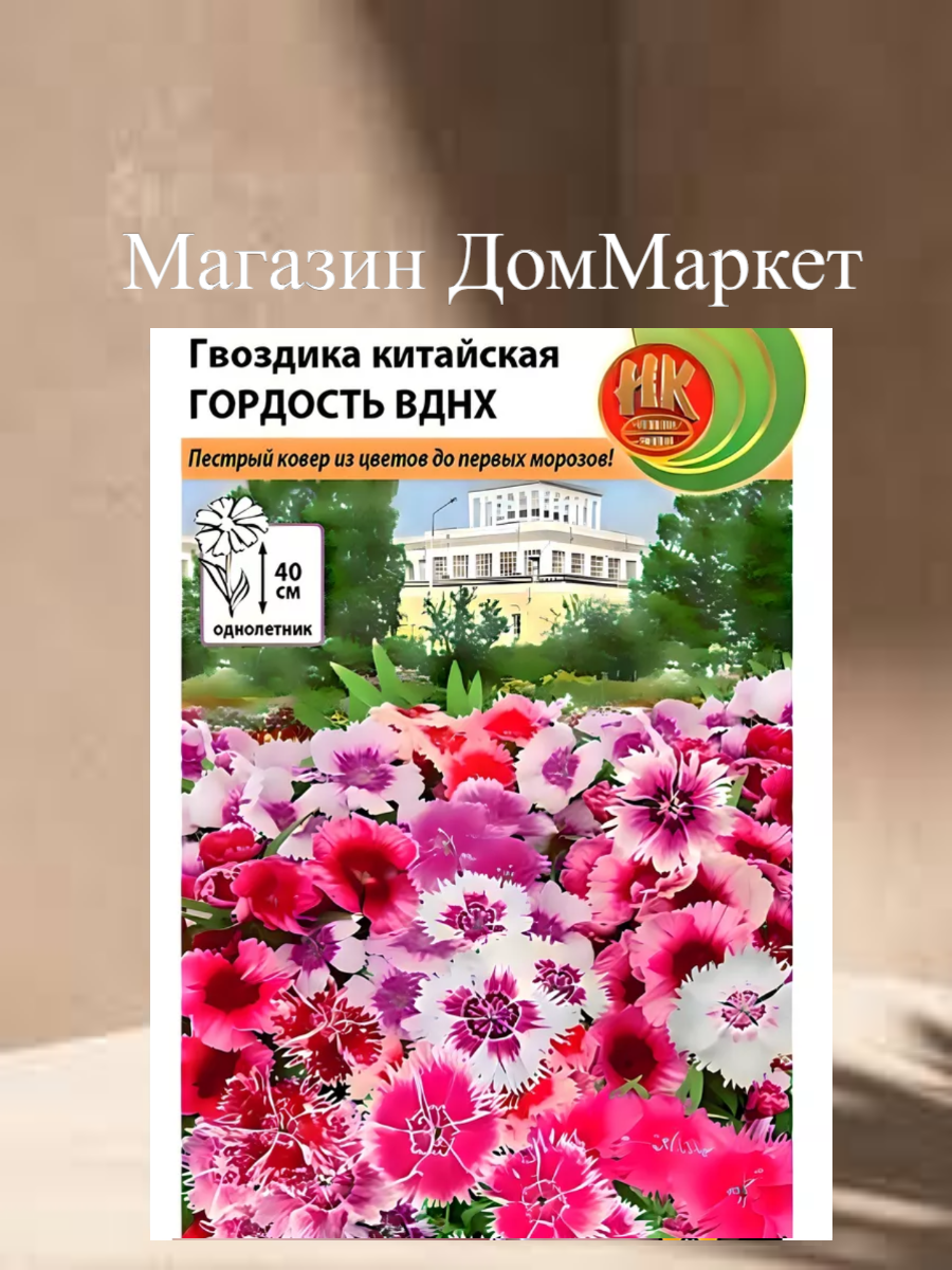 Гвоздика китайская 