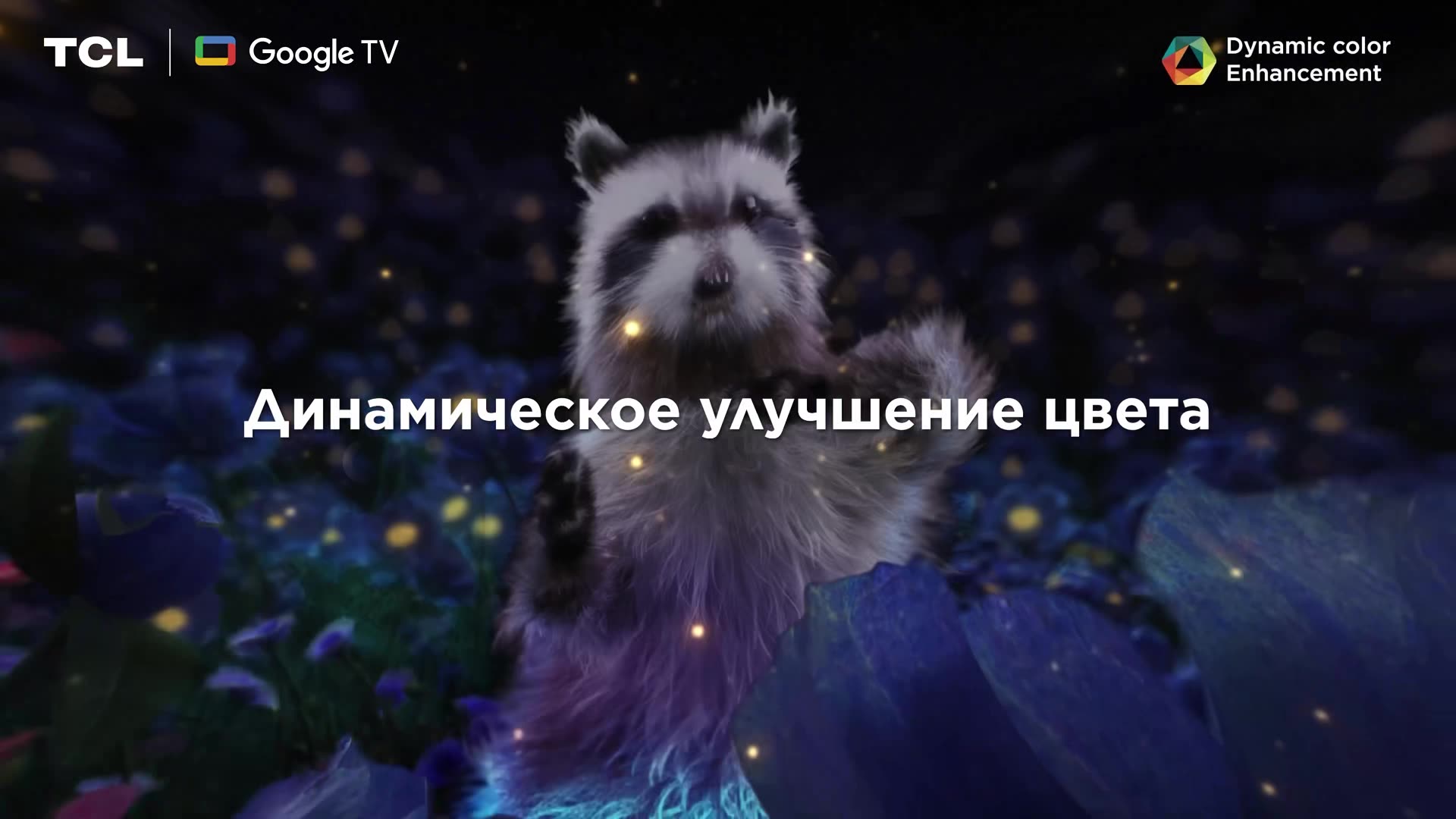Телевизор TCL 43" T6C QLED 4K HDR Google TV, Смарт ТВ, 43 дюйма — фото 1