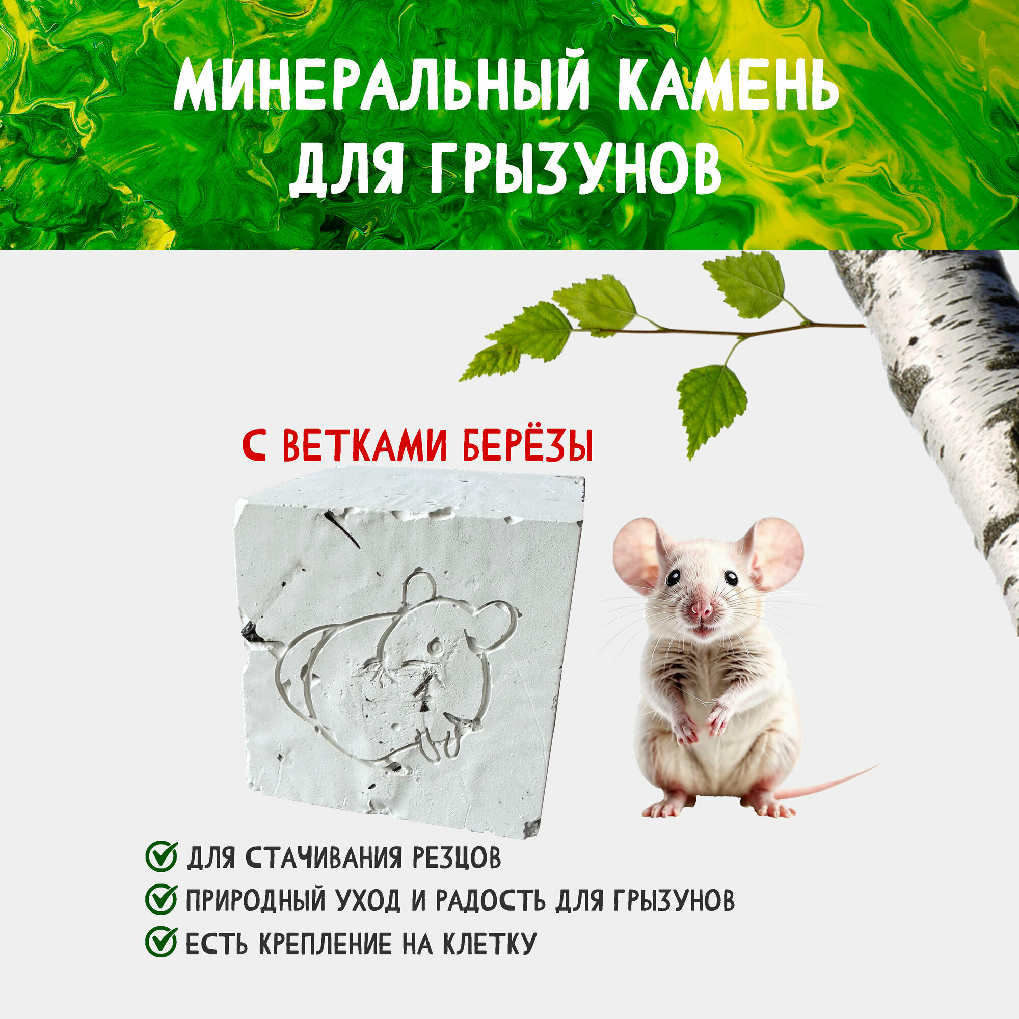 Минеральный камень с ветками берёзы