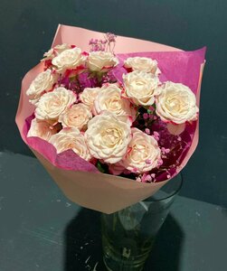 Основная фотография от вендора