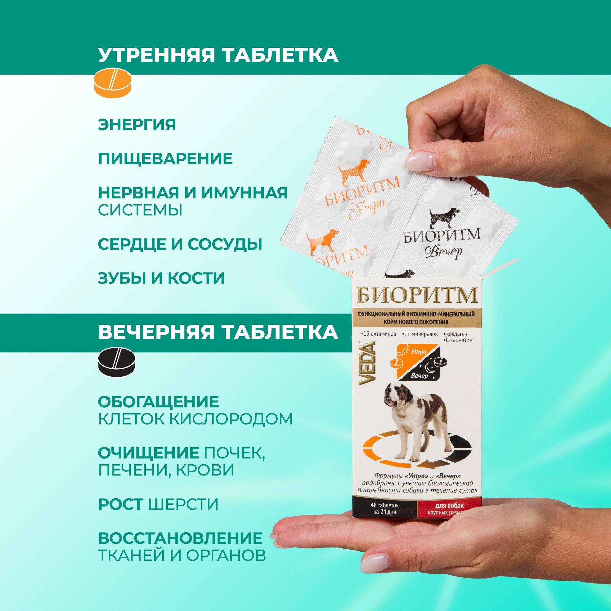 Биоритм, витамины для собак крупных размеров (свыше 30 кг), VEDA — фото 1