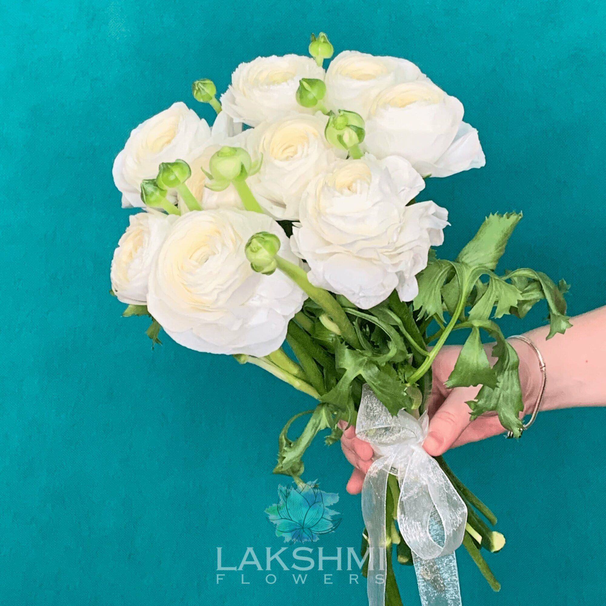 9 ранункулюсов / Букет из 9 белых пышных ранункулюсов под ленту