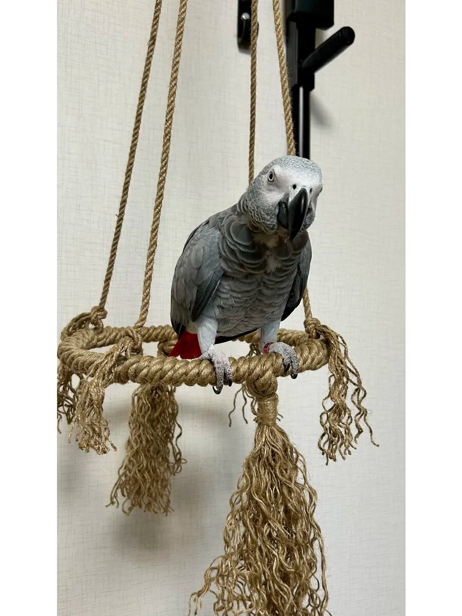 Игрушка для попугая - подвесное джутовое кольцо 28см
