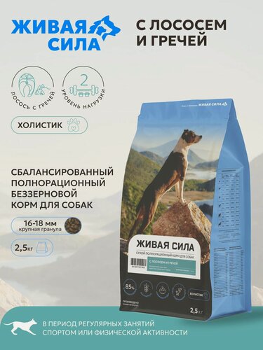 Изображение товара Живая Сила сухой беззерновой корм с лососем и гречей для взрослых собак, крупная гранула, 2,5кг