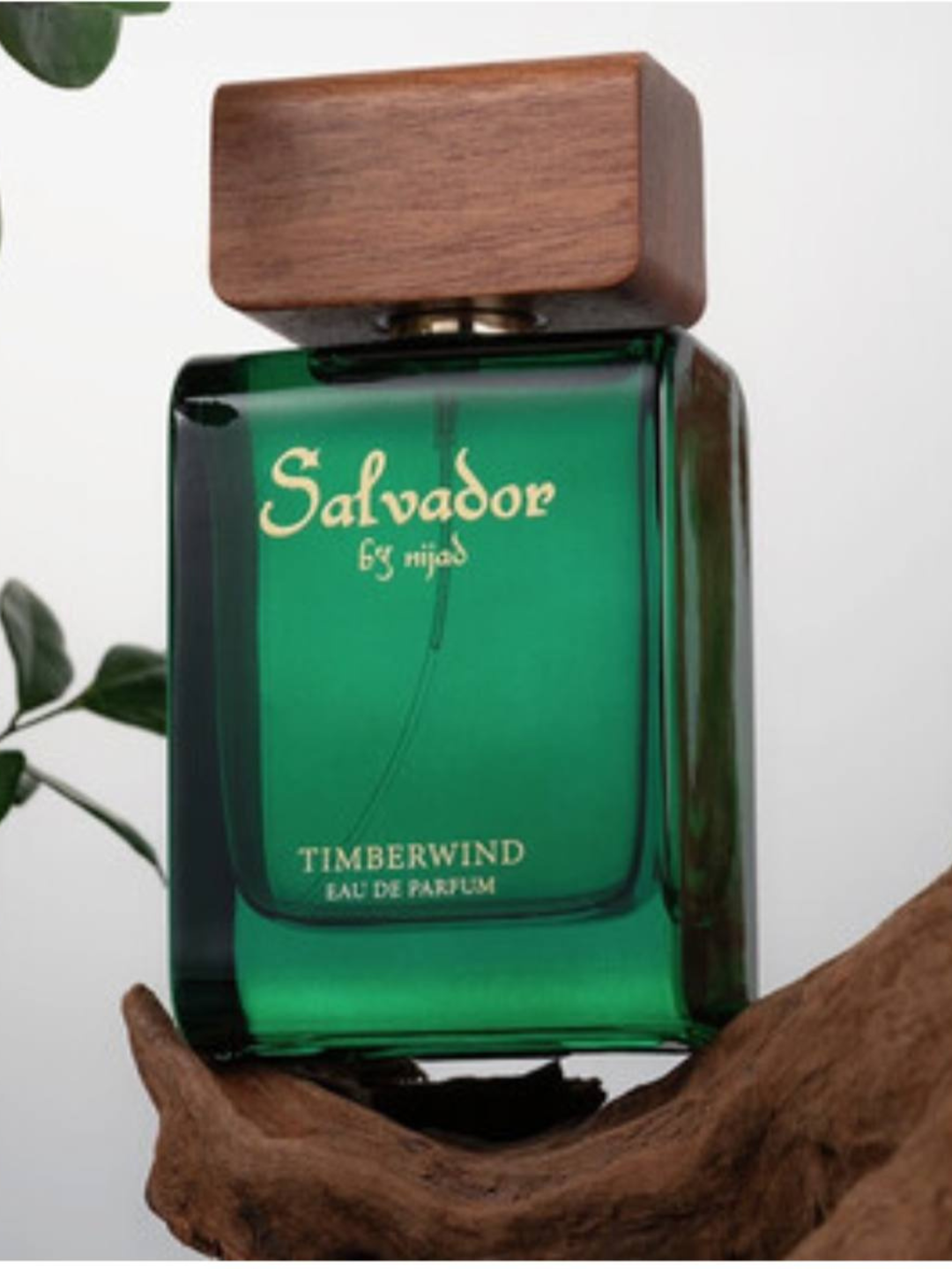 Мужской парфюм Salvador, аромат силы, доверия и настоящего мужского начала