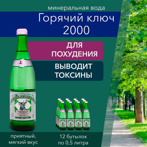 Изображение товара Вода Горячий Ключ 2000. Объем 0,5л*12. В стекле. Вода минеральная питьевая газированная природная лечебная