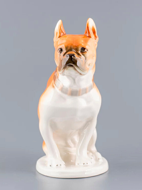 Фарфоровая статуэтка Бульдог , Императорский фарфоровый завод — фото 1