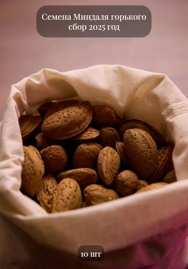 Семена Миндаля горького 10 шт