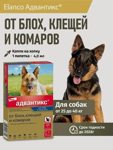 Изображение товара Адвантикс для собак массой более 25 кг, 1 пип