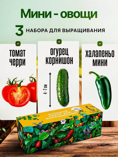 Изображение товара Набор для выращивания растений Овощи Томаты Черри Острый Перец Огурцы
