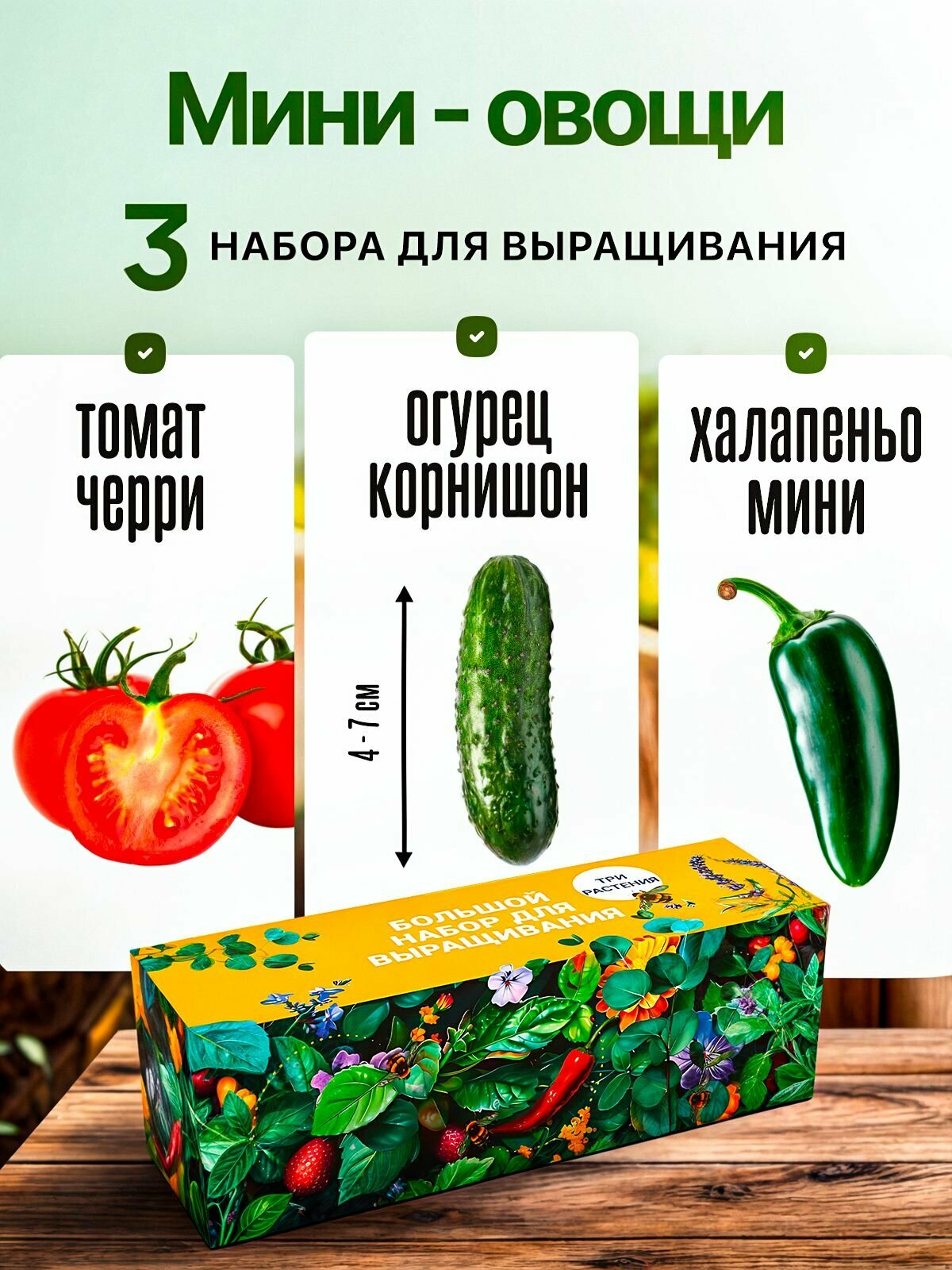 Набор для выращивания растений Овощи Томаты Черри Острый Перец Огурцы