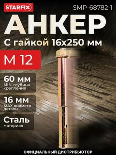 Изображение товара Анкерный болт с гайкой М12х16х250 мм STARFIX, для бетона, 1 штука (SMP-68782-1)