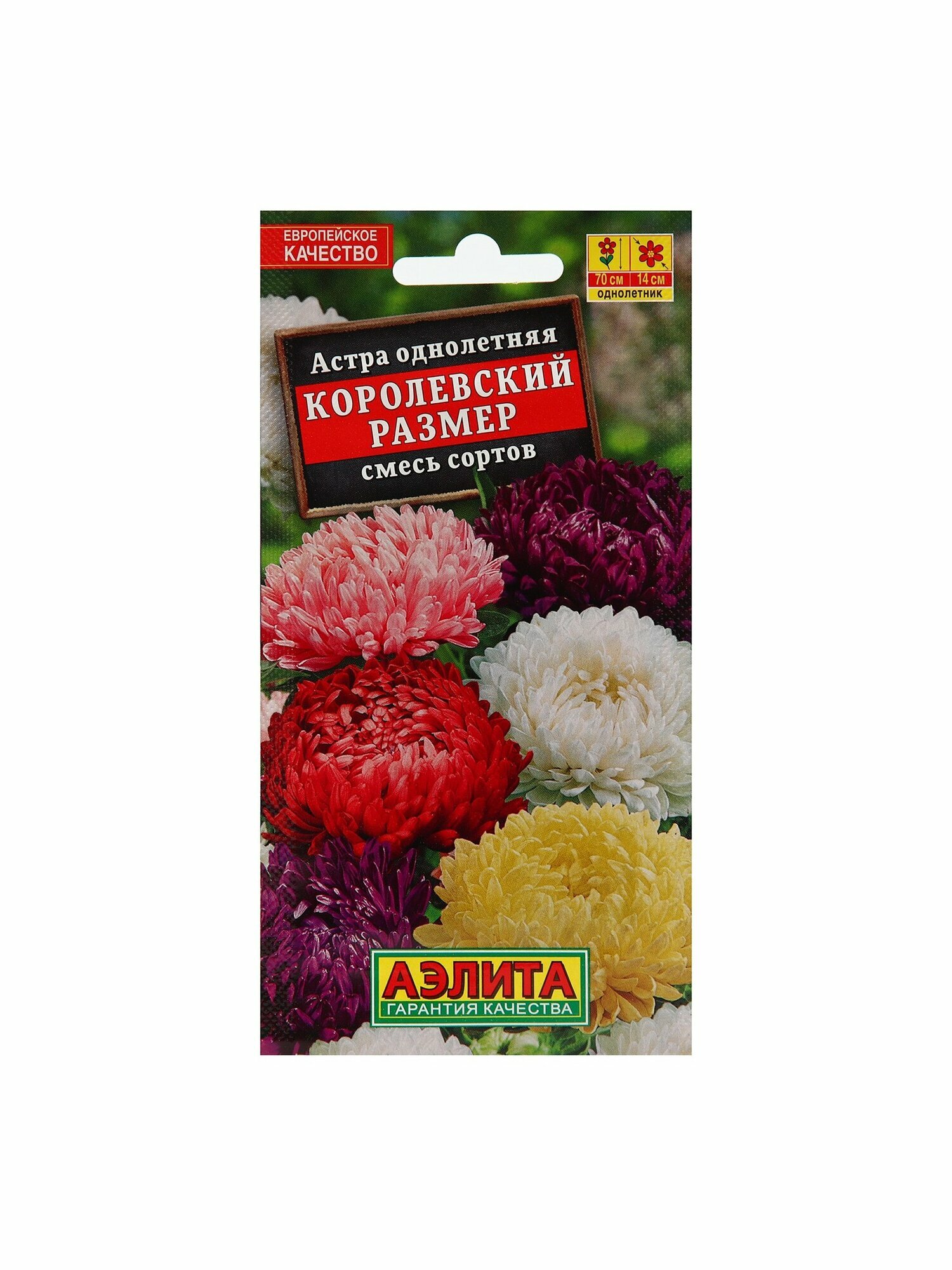 Набор семян Астра 